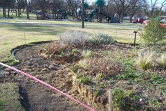 finchpark1