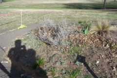 finchpark10